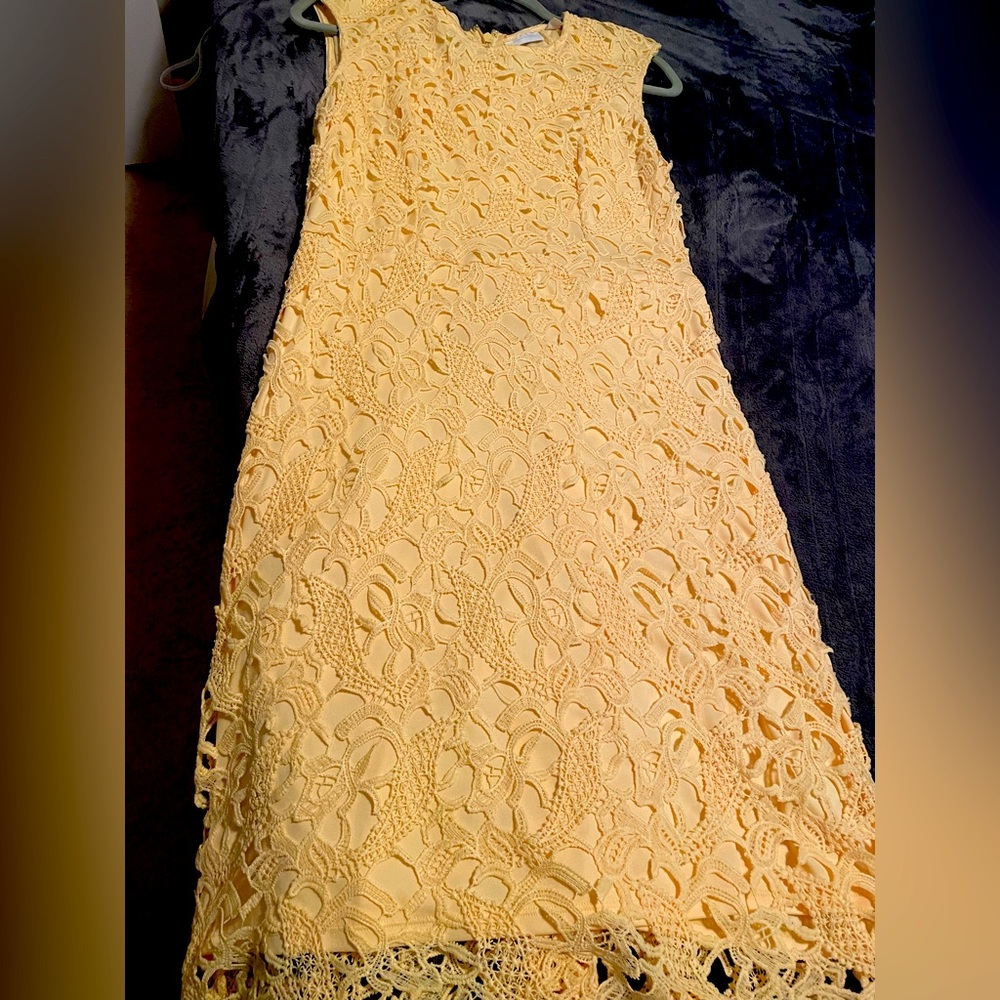New York and company dress.